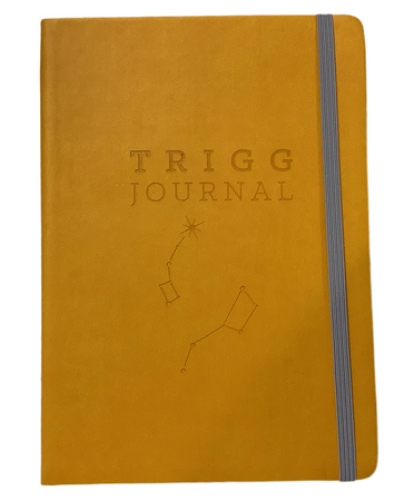 Book - Trigg Jornal