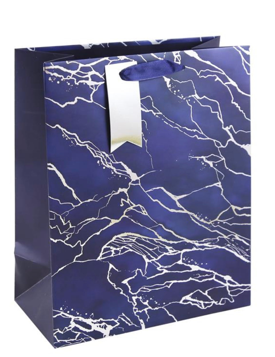 Blue Marble Large Gift Bag