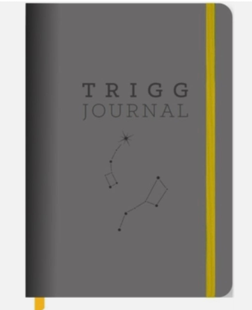 Book - Trigg Jornal